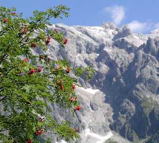 Der Hochkönig vom Almsee gesehen
