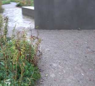 Garten Großbritanien