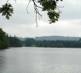 Ausblick über den See