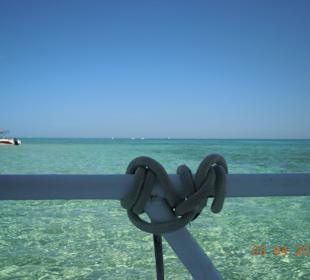 Schnorchel Ausflug TOP