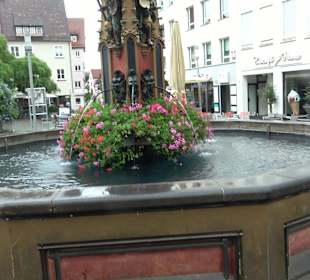 Fischkasten / Syrlinbrunnen