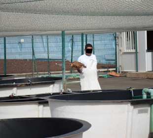 Verschiedene Wasserbecken