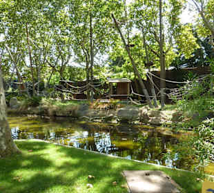 Klammeraffenanlage