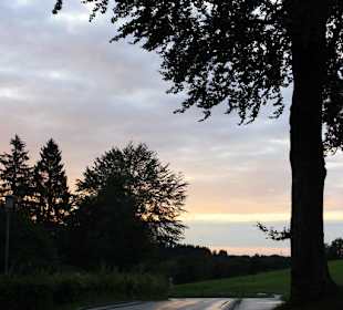 Beim Schwaltenweiher