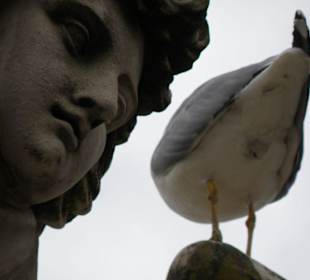 Un ucello seduto sulle ali di un angelo