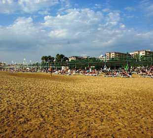 Inspirationen an d.Strandprom.entlang Nov.2010