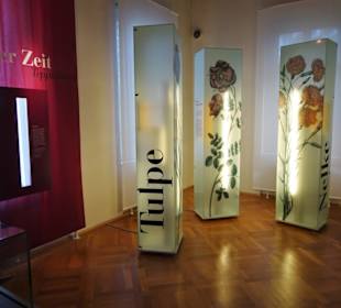 In den Museumsräumen des Schloss Fantaisie