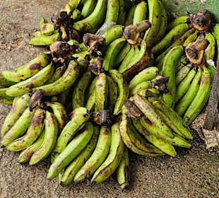 Frischer geht's nicht