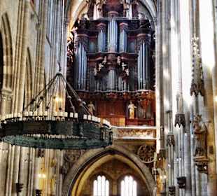 Blick zur Orgel