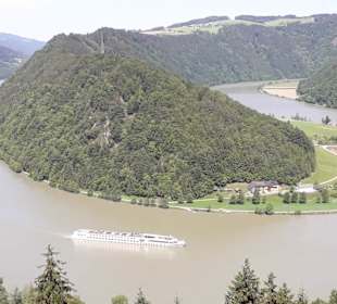 Blick vom Ausssichtspunkt auf die Donauschlinge .