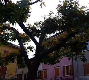 Eindrücke in Malcesine