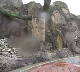 Land der Abenteuer - Dschungel X-pedition