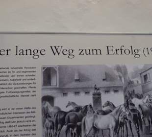 Gestütsmuseum Offenhausen