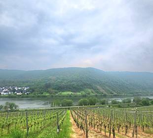 Wandern Bad Salzig