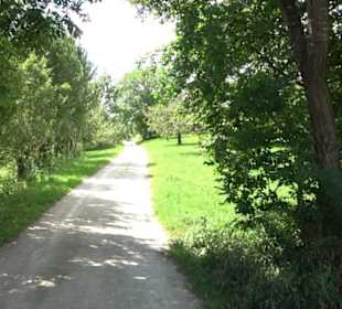 Hochgehnießen - Premiumspazierwanderweg