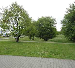 Park