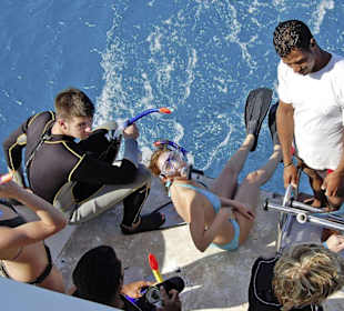 Startklar zum Sprung ins Wasser!