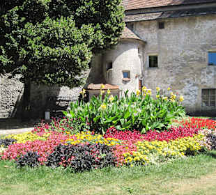 Wels -Stadtmauer Juli 2013