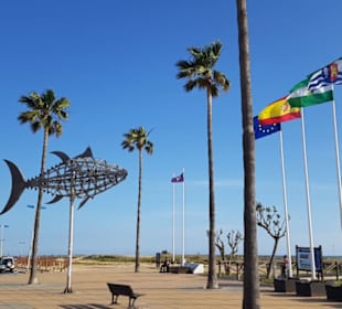 Am Strand von Conil de la Frontera