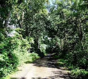 Spaziergang um den Waller Feldmarksee