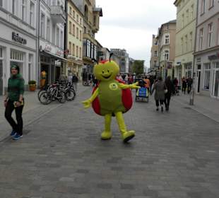Altstadt Schwerin, Frühlingserwachen