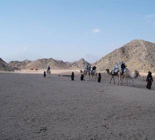 Kamele reiten auf Wüstenschiffen