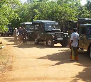 Gleich beginnt die Safari