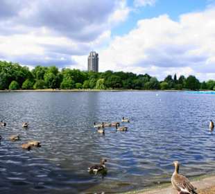 Hyde Park Impression