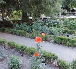 Real Jardín Botánico de Madrid