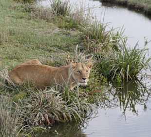 Tansania Ende September