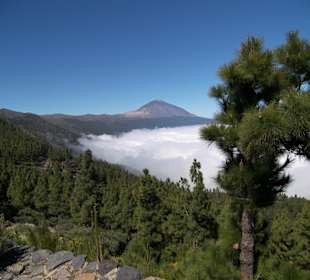 Teide
