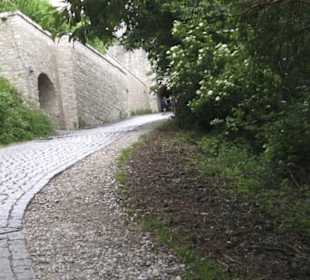 Burgruine Hohenneuffen