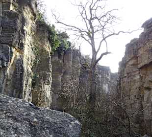 Felsengärten Hessigheim