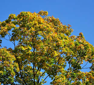 Herbst im Gesundheitspark Speckenbüttel