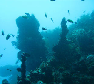 Wracktauchen mit Amed Scuba