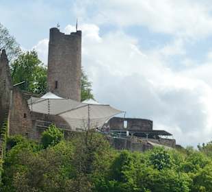 Die Burgruine Scherenburg oberhalb der Altstadt