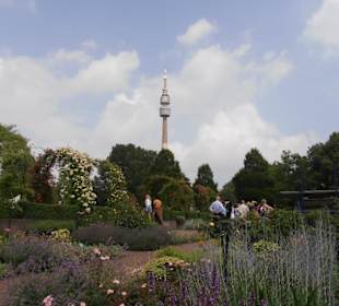 Rosenfest im Westfalenpark in Dortmund