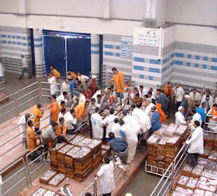 Fischversteigerung im Hafen