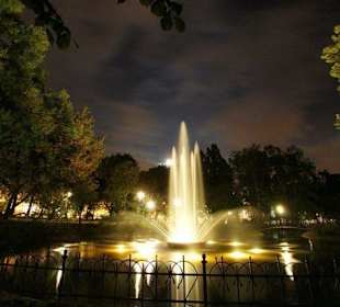 Panorama plant nocą z fontanną