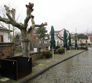 Gaststätte Winzerverein