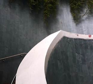 Tree Tunnel Fort Canning Park