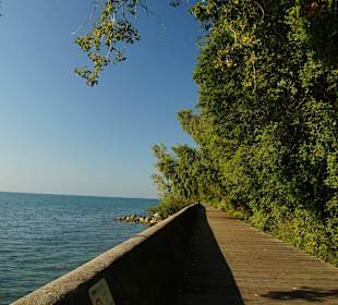 Boardwalk