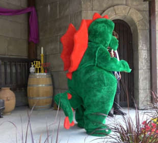 Land der Ritter - Fotobühne