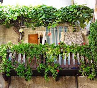 Rundgang durch die Altstadt von Malcesine