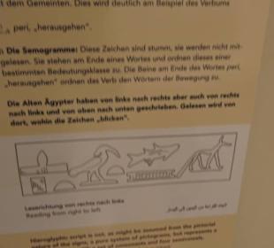 Museum für Völkerkunde