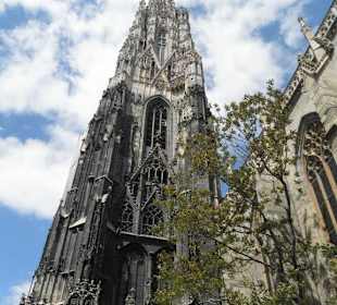 Stephansdom