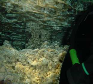 Tauchen in Boca Chica mit Caribbean Divers