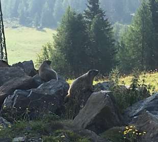 Wandern Hermagor - Pressegger See