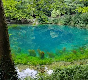 Blautopf
