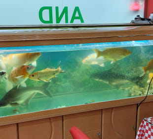 Restaurant Golden Swan